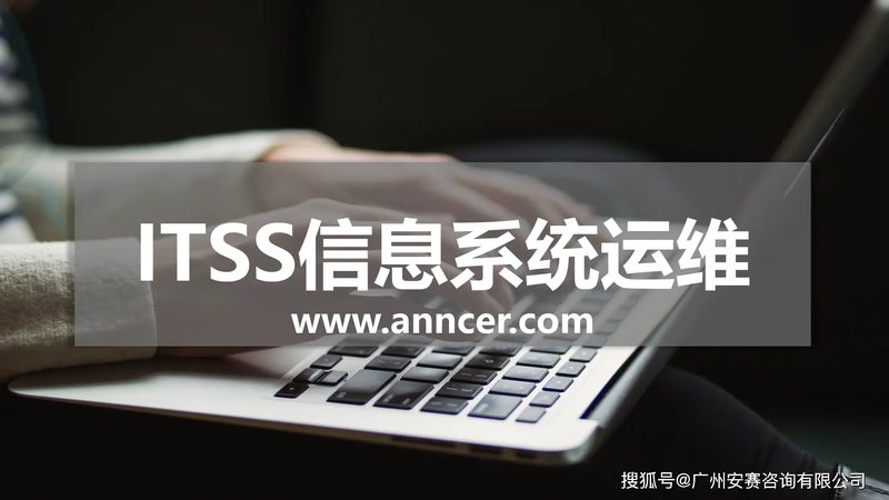 揭秘上海信息技术服务公司：品牌背后的实力与选择标准